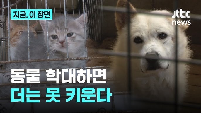 동물학대자.jpg