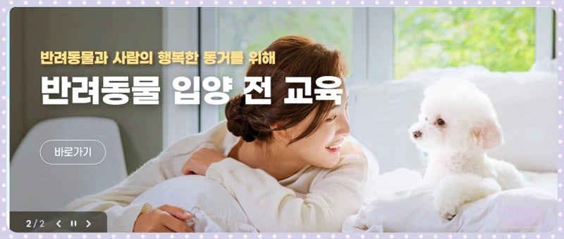 입양교육.jpeg