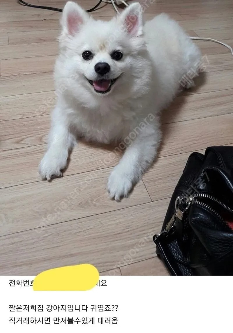 중고나라 직거래 유도방법