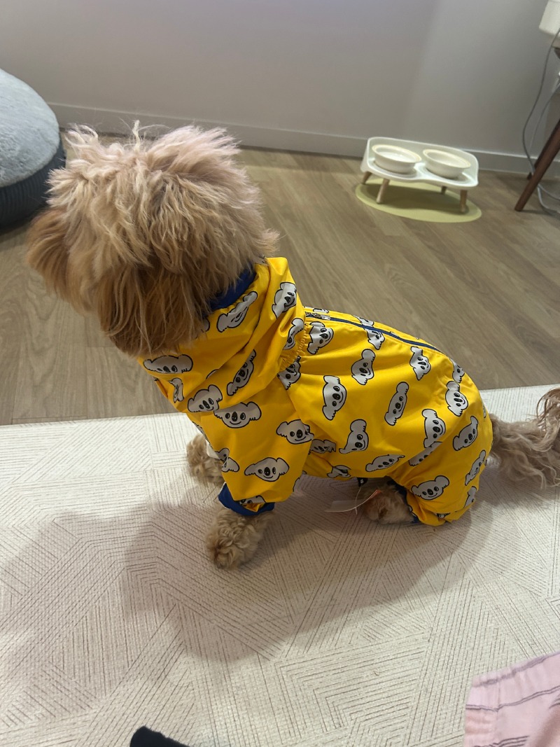 밤톨이 신상옷 공개~!