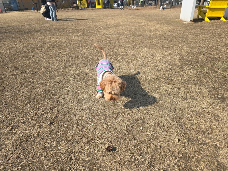 1000072875.jpg