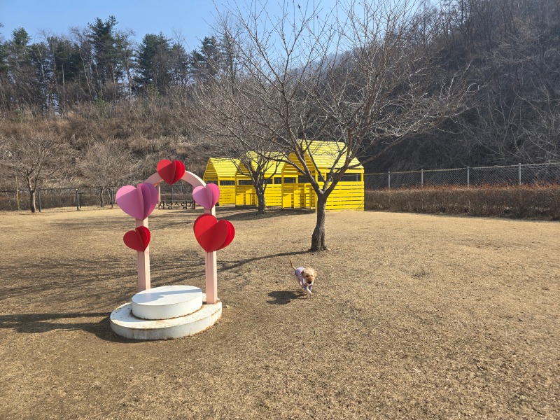 1000072877.jpg