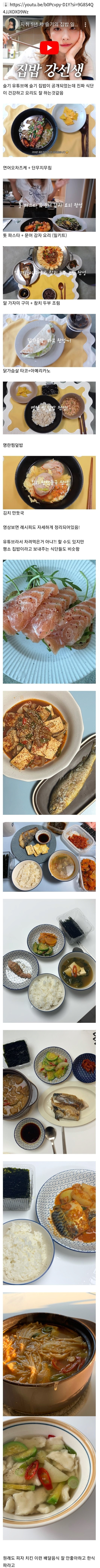 레드벨벳 슬기가 해 먹는 집밥 퀄리티