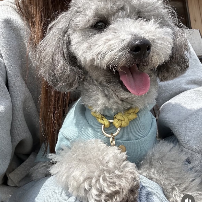 설 봄산책