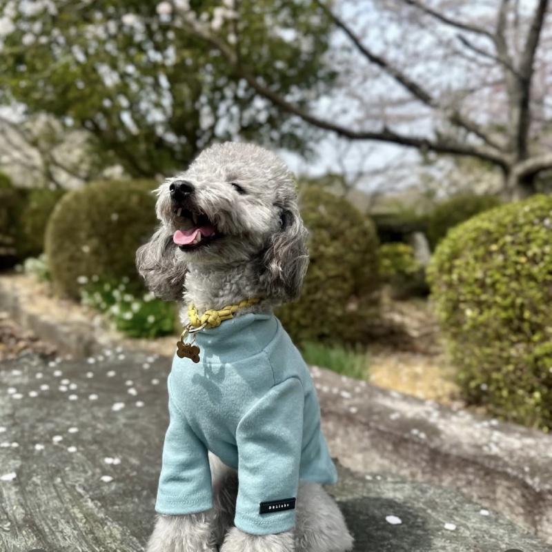 설 봄산책
