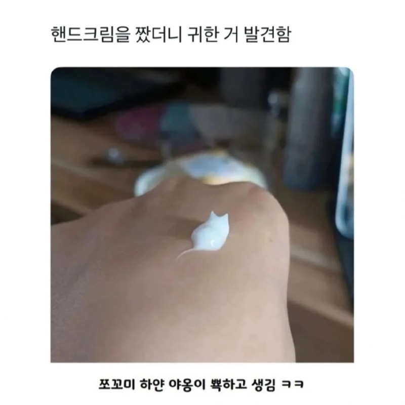 핸드크림 고양이