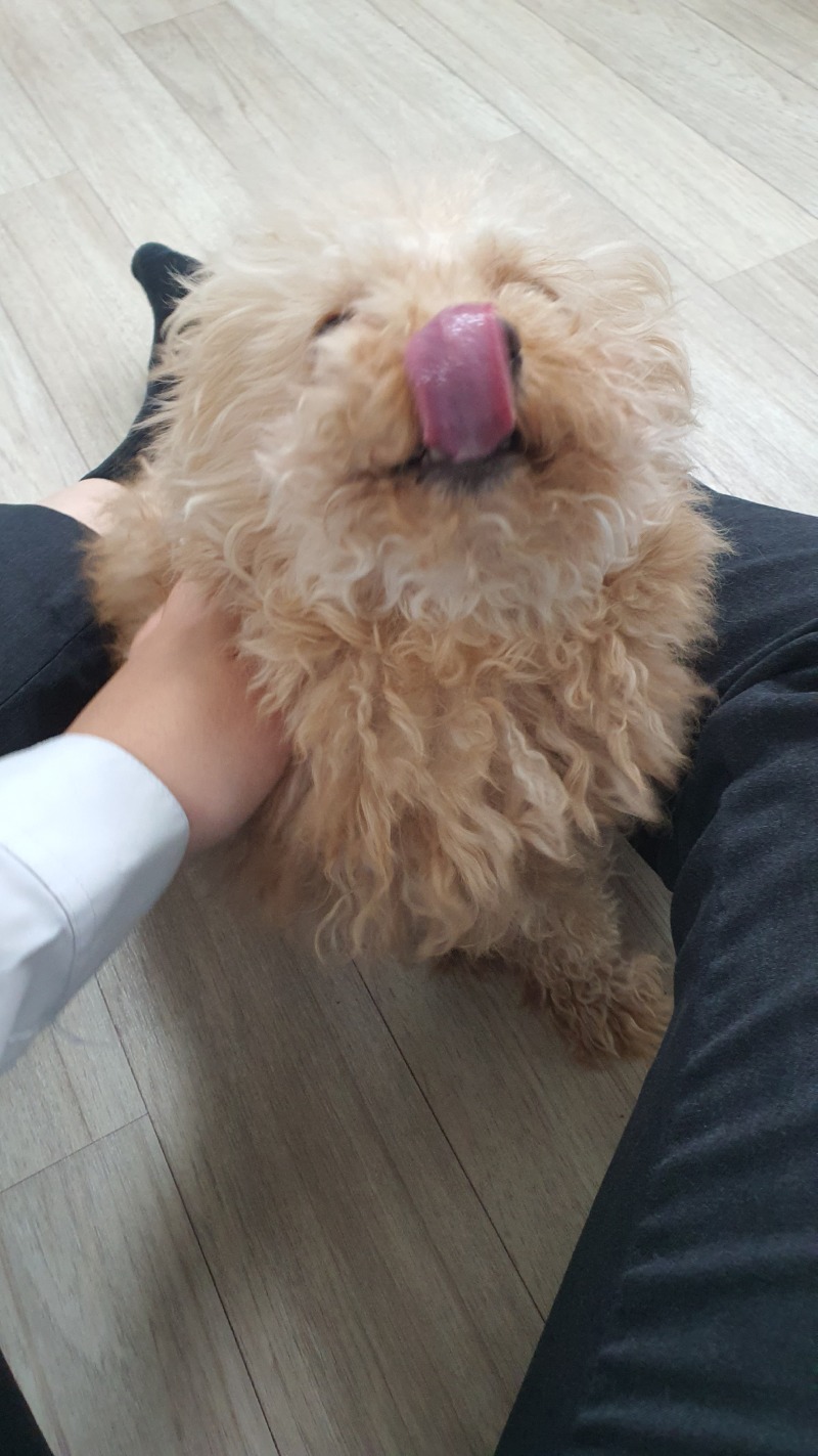 즐거운 오후 감자