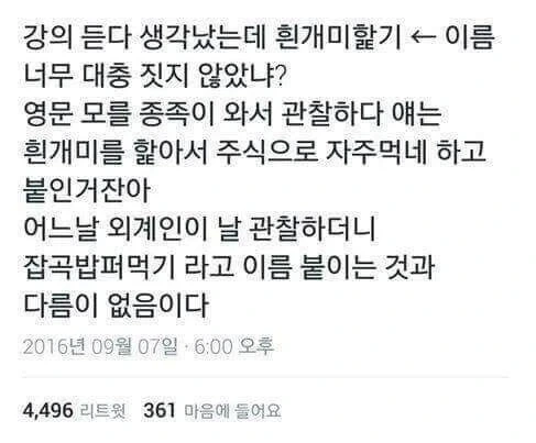 이름을 너무 대충 지은 동물.jpg