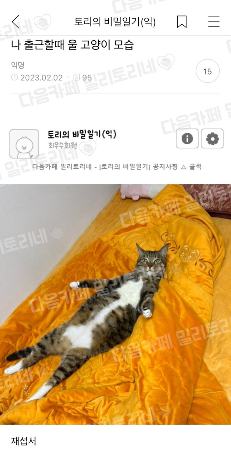 나 출근할 때 울 고양이 모습