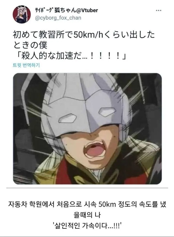 운전 처음 배우는 사람 특징