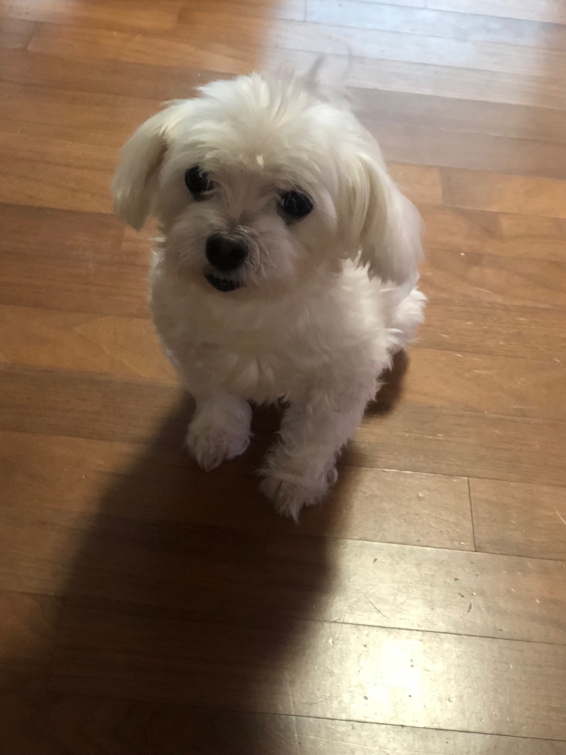이 귀염둥이 좀 보세용 