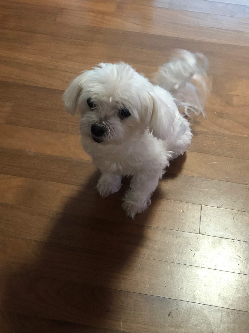 이 귀염둥이 좀 보세용 