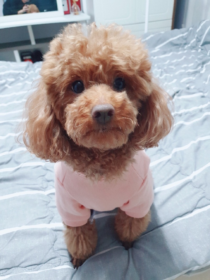 우리 귀여운 뭉치 ㅋㅋ