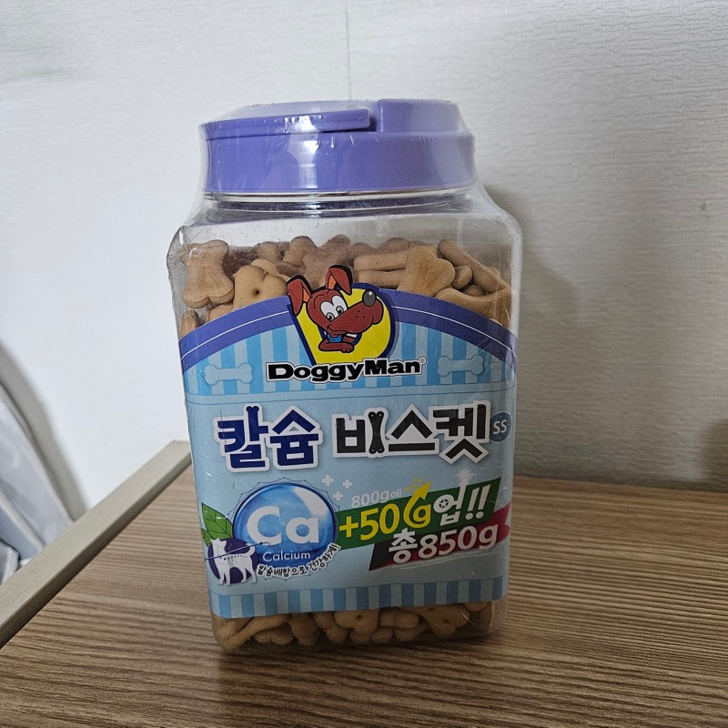 도기맨 비스캣 (1).jpg