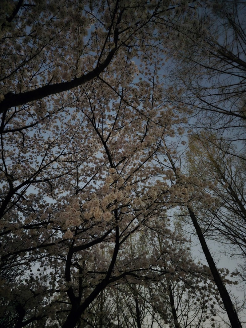 서울숲 산책