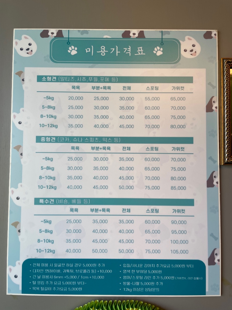 평택 애견미용 저렴한곳 멍뭉이쌀롱