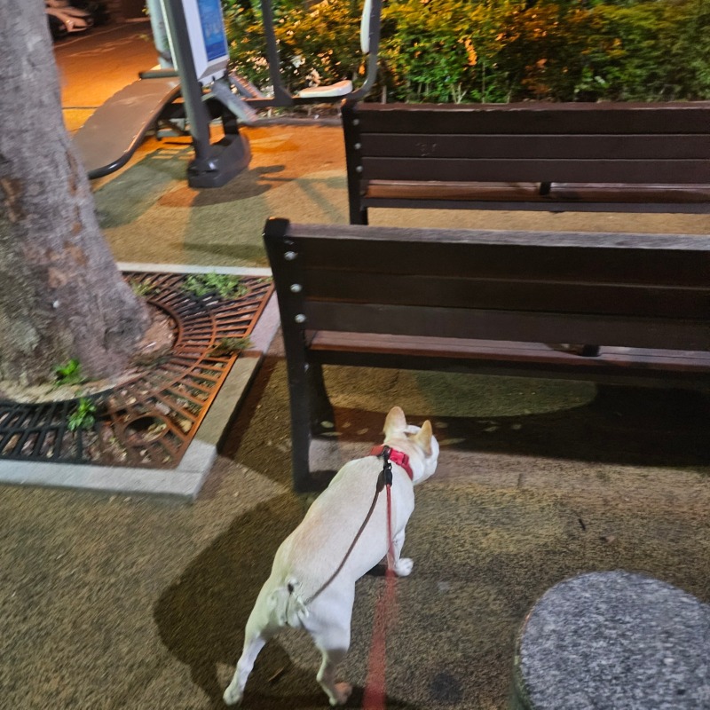 용산구느티나무쉼터공원