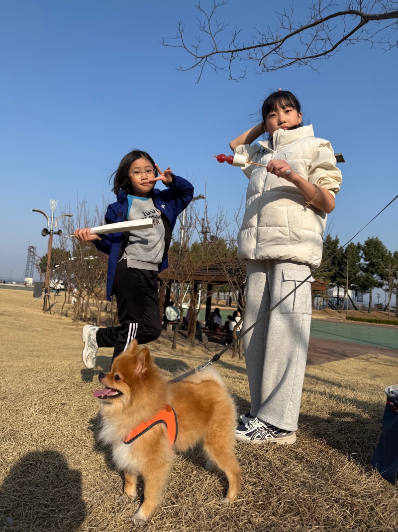 강아지 산책하기 좋은 아산 삽교호