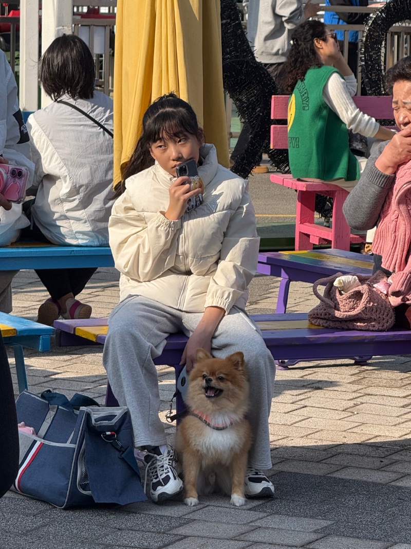 강아지 산책하기 좋은 아산 삽교호