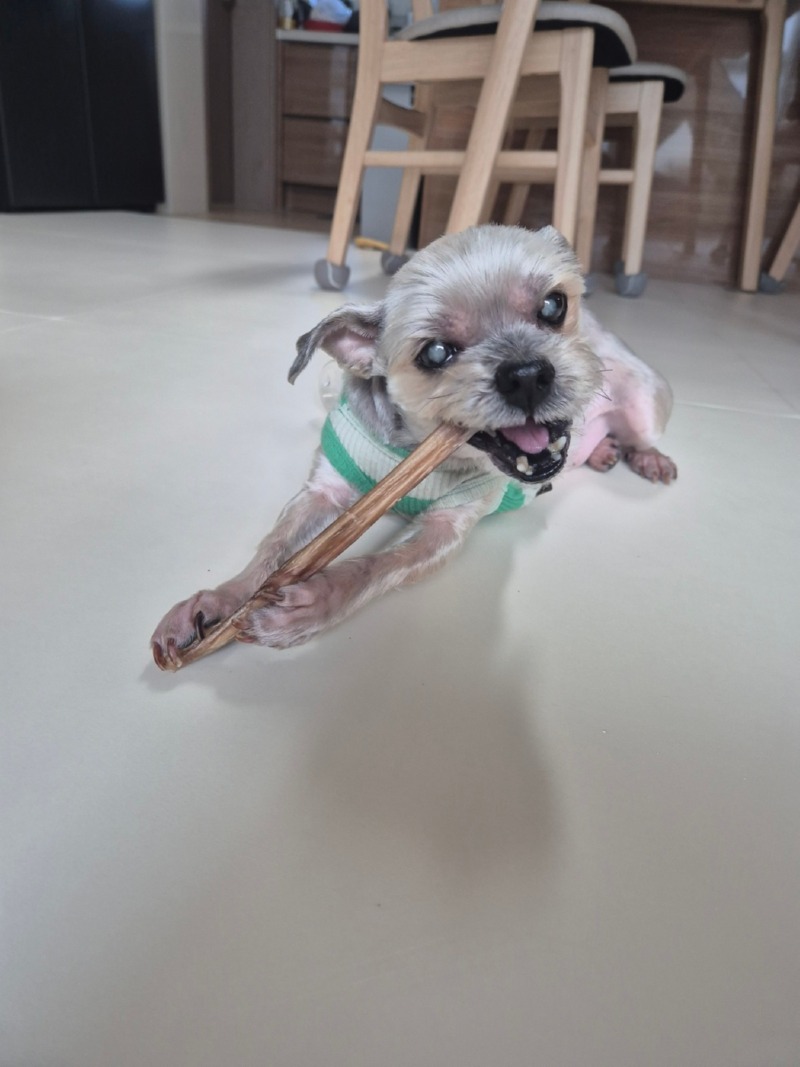 KakaoTalk_20241112_104117764_01.jpg