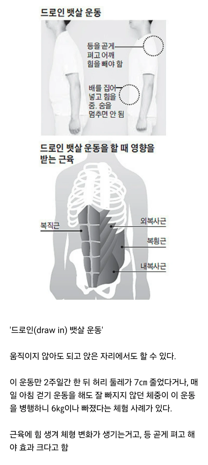배에 힘만 줘도 뱃살 빠진다