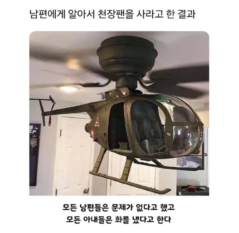 남편에게 천장용팬을 아무거나 사오라고 시킨 결과