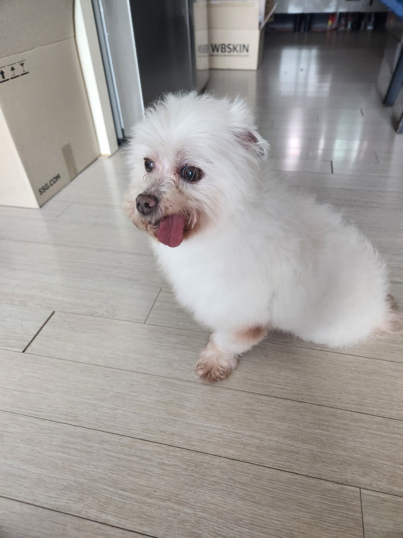 메롱