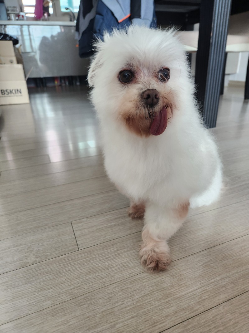 메롱