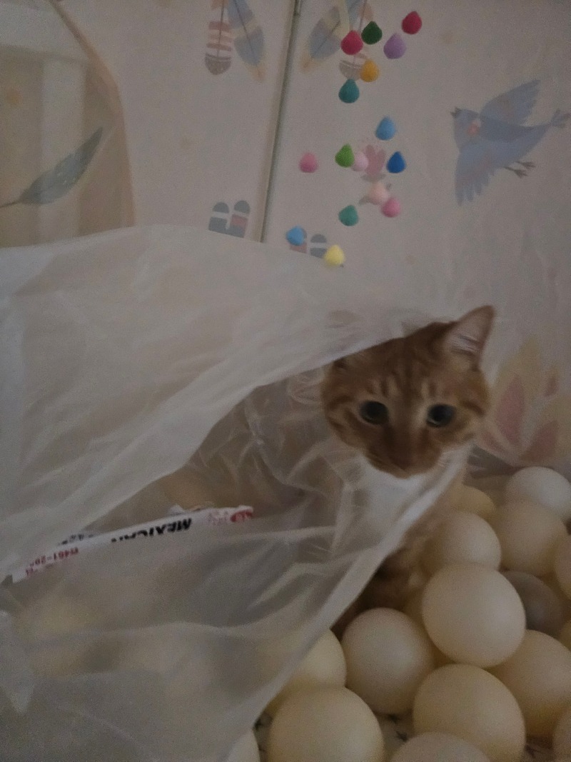 덫에걸림 ;ㅋㅋㅋㅋㅋㅋ