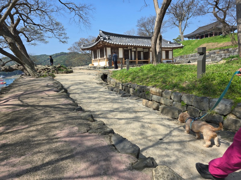 보령충청수영성, 서해바다가 보이는 뷰맛집