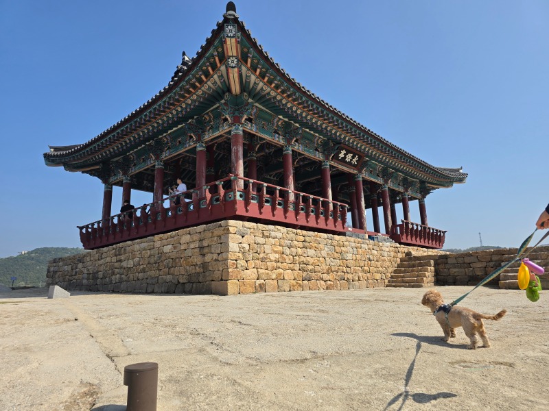 보령충청수영성, 서해바다가 보이는 뷰맛집