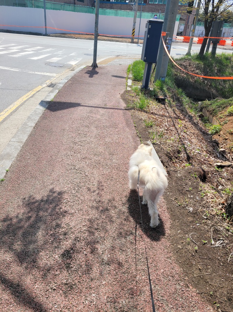 덥다~기분최고