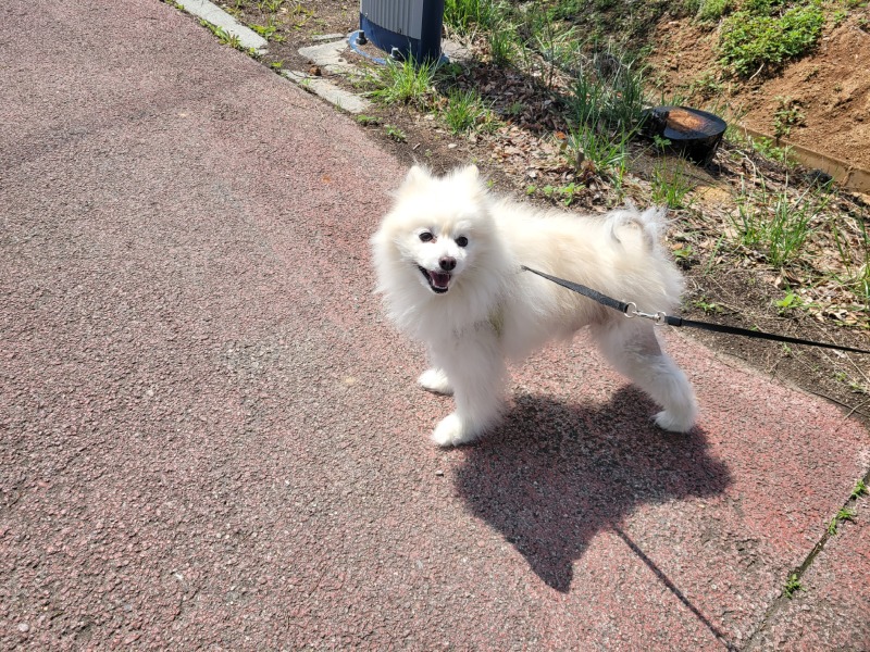 덥다~기분최고