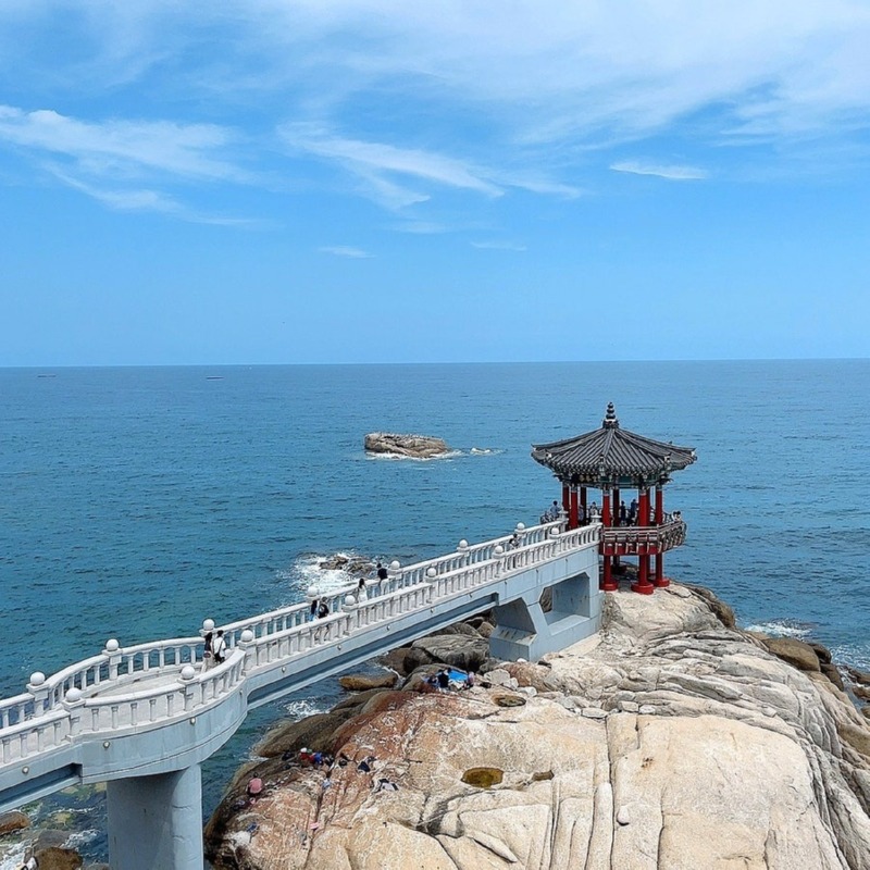 영금정 애견동반 산책