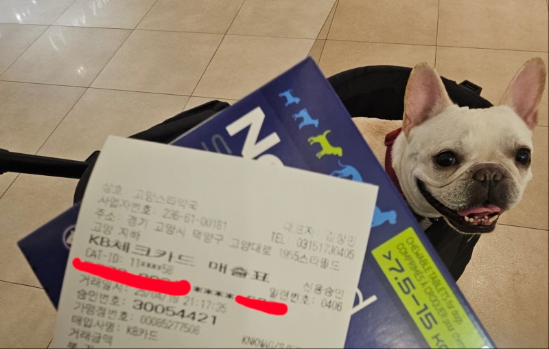 고양스타약국 