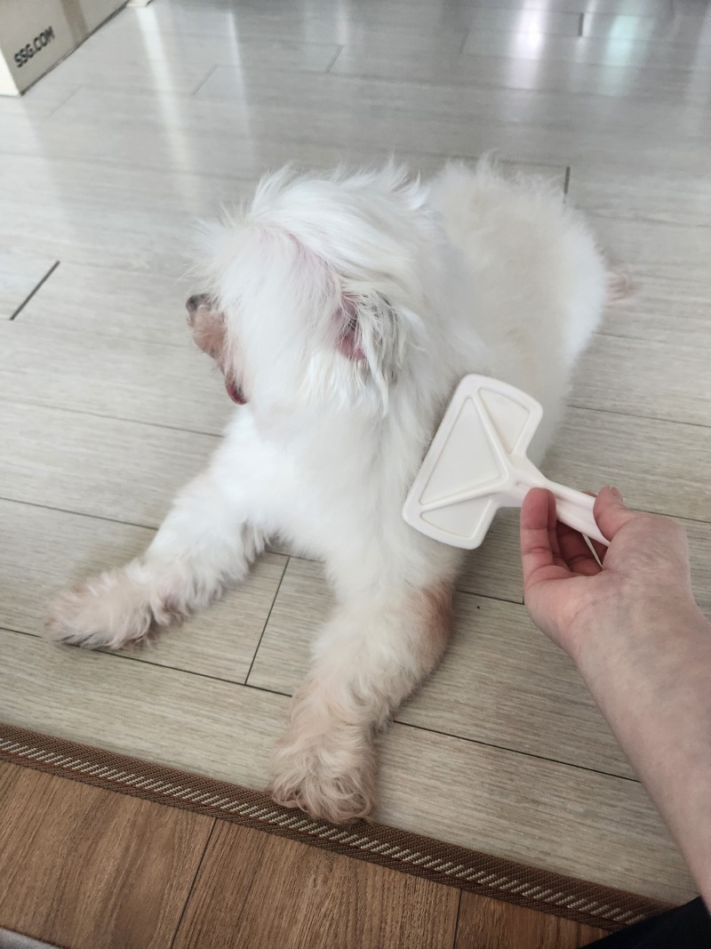 목욕후