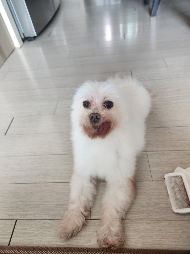 목욕후