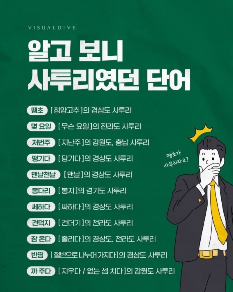 알고 보니 사투리였던 단어들