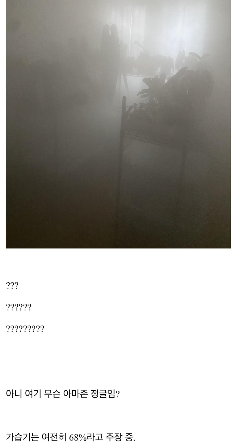 미쳐버린 가습기 성능에 놀란 식물갤러.jpg