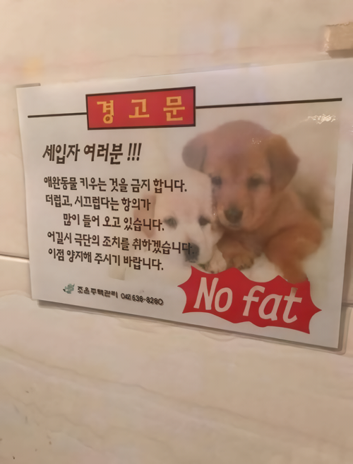 갑자기 뚱뚱한 사람 인신 공격