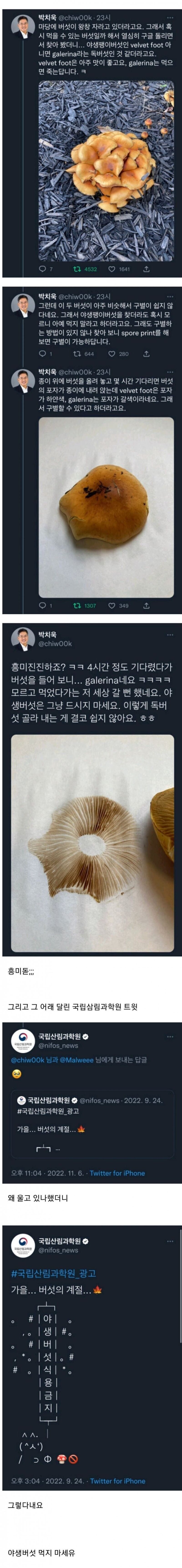 교수님의 독버섯 구분법