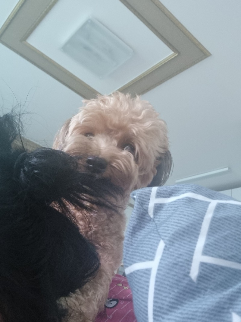 씹고 뜯고