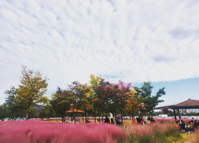 구미 낙동강 체육공원