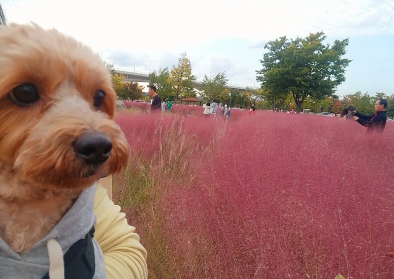 구미 낙동강 체육공원