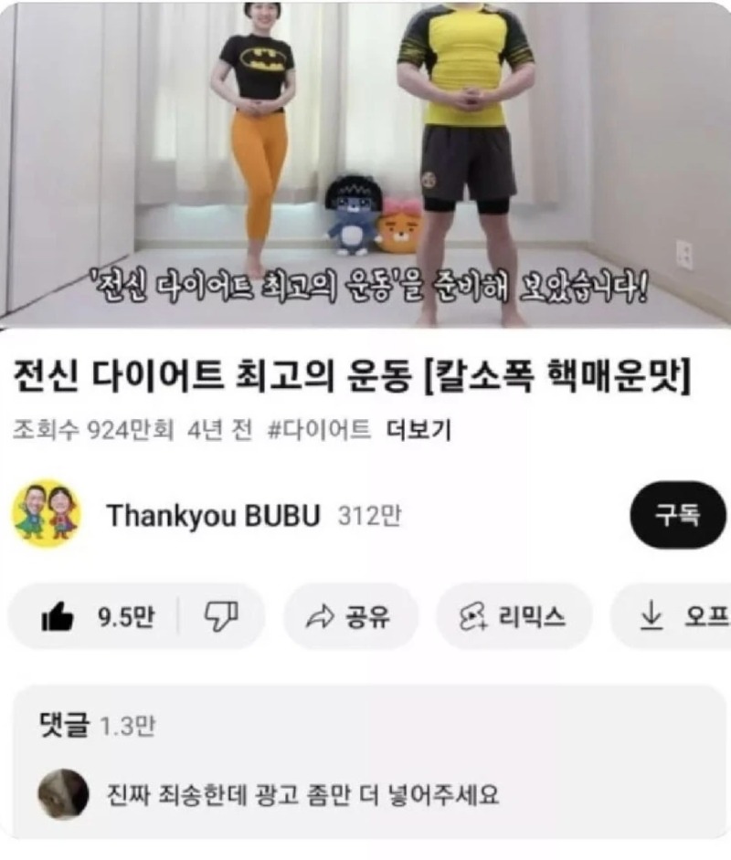 제발 영상에 광고 넣어달라고 하는 유튜브 영상