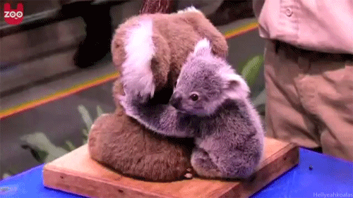 마무리.gif