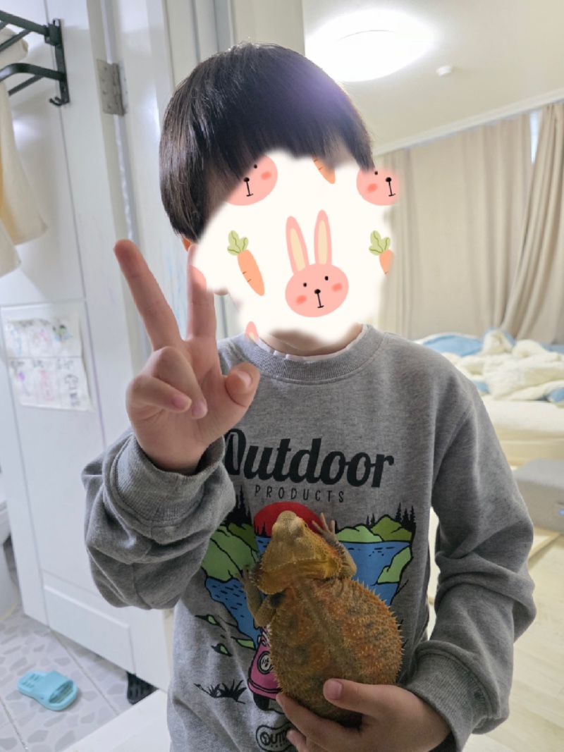 거북이...? 도마뱀...?