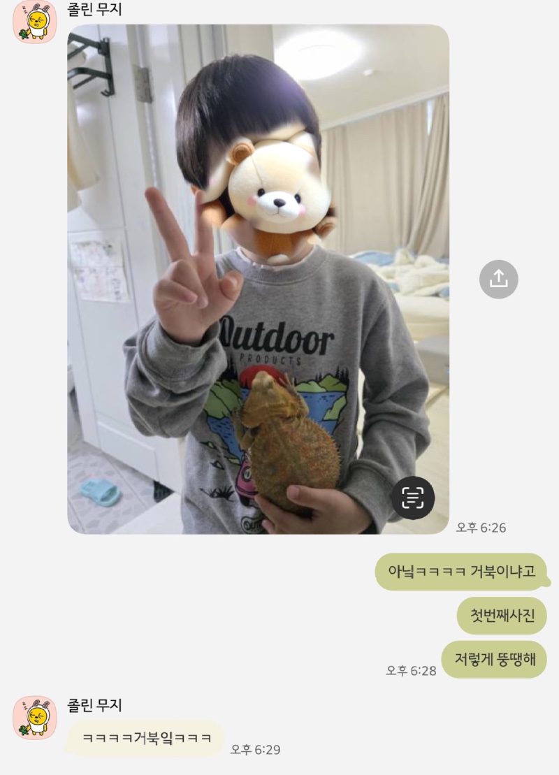 거북이...? 도마뱀...?