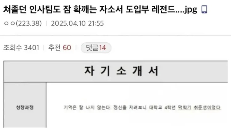자소서 도입부 레전드