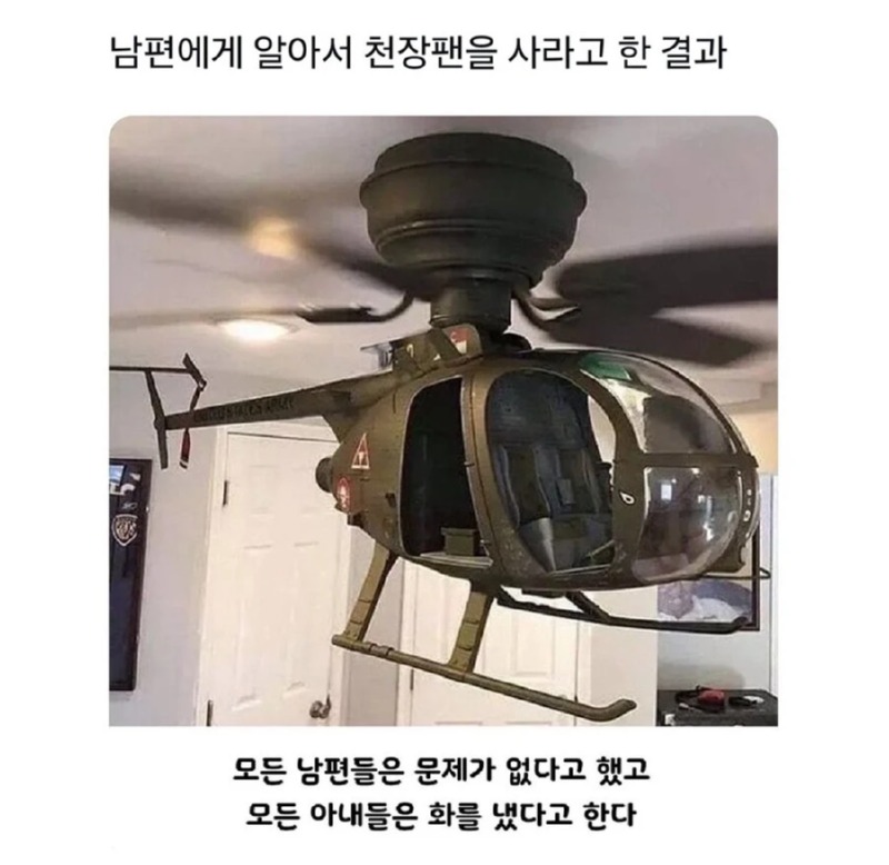 남편에게 알아서 천장팬을 사라고 시킨 결과...